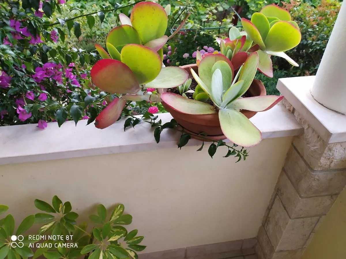 Apartment Bruno Mali Lošinj